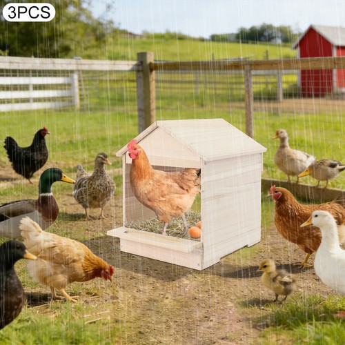 Nido per pollo colore - colore, legno