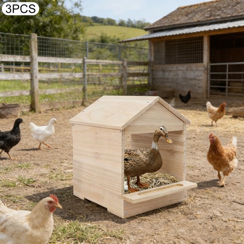 Nidificazione pollo con - pollo,